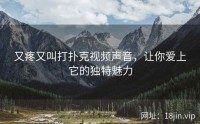 又疼又叫打扑克视频声音，让你爱上它的独特魅力