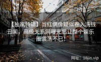 【独家特辑】当红偶像疑似卷入洗钱丑闻，高级关系网曝光后让整个娱乐圈震荡不已！