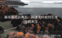 娱乐圈风云再起：网络黑料如何引发全民关注