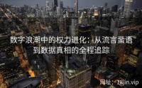 数字浪潮中的权力进化：从流言蜚语到数据真相的全程追踪