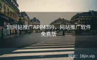 18网站推广APP4399，网站推广软件免费版