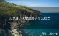 沃尔逊，沃尔逊属于什么档次