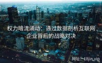 权力暗流涌动：通过数据剖析互联网企业背后的战略对决