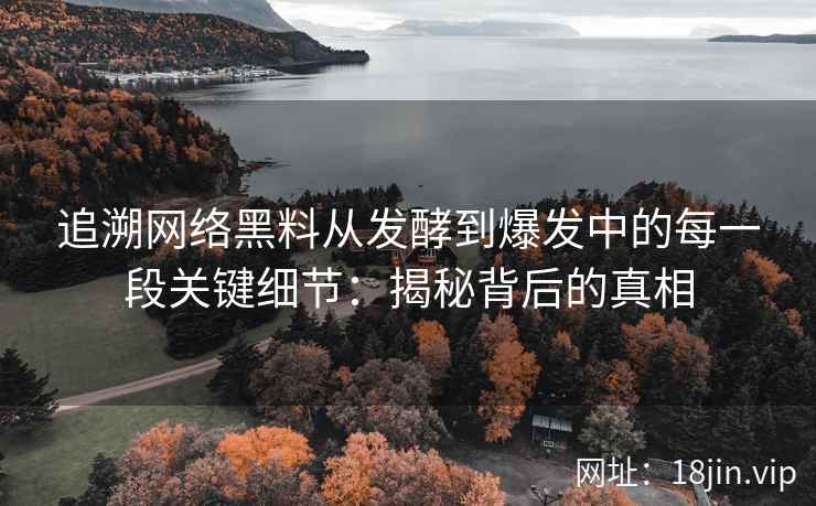 追溯网络黑料从发酵到爆发中的每一段关键细节：揭秘背后的真相