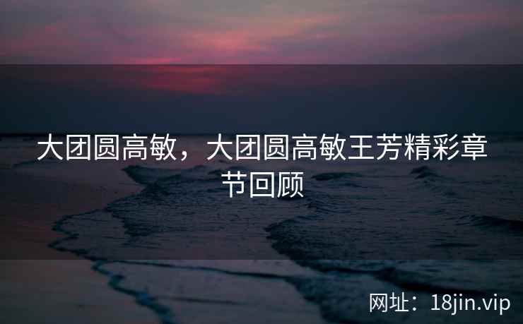 大团圆高敏，大团圆高敏王芳精彩章节回顾